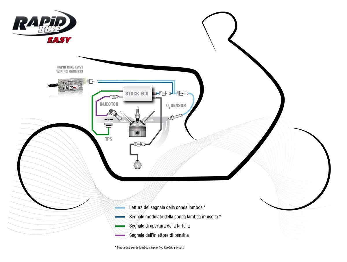 Rapid Bike Motorcycle Fuel Tuning Module Easy - KTM – Averys Motorcycles